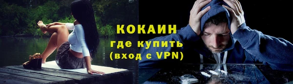 крисы Богданович