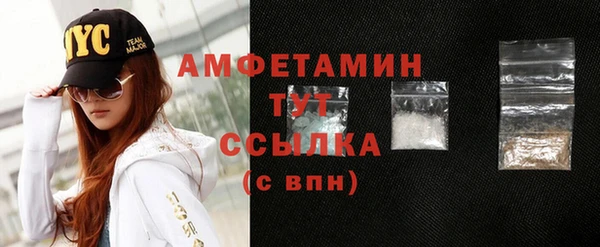 сатива Бородино
