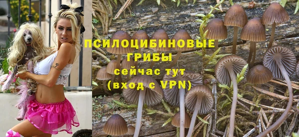 сатива Богородск