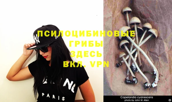 спиды Бугульма